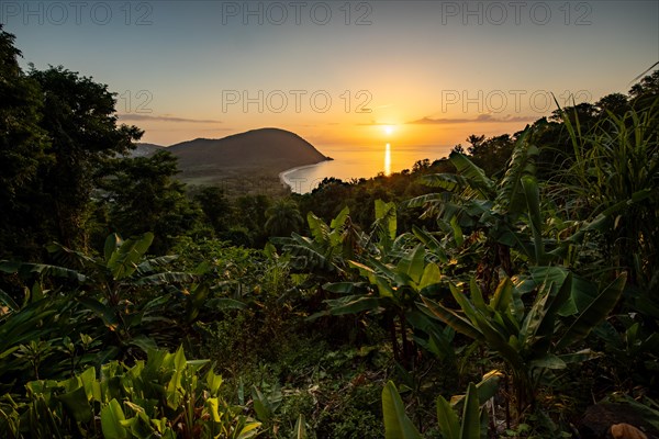 View from a mountain to a secluded bay with a sandy beach and mangrove forest. The sun rises over the sea and bathes the surroundings in a golden light. Grande Anse beach, Basse Terre, Guadeloupe, French Antilles, Caribbean, North America