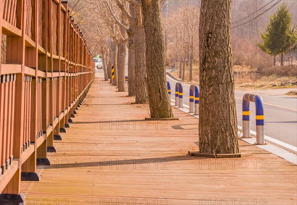 Wooden pedestrian walkway with red wooden fence one one side and trees on the other next to a rural street in South Korea
