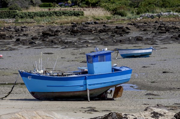 Fishing boats on the beach at low tide, Brittany, France, Europe