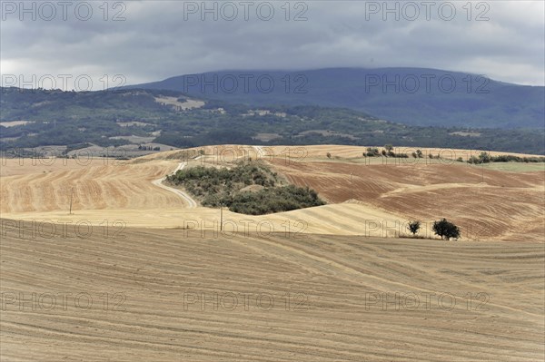 Harvested fields south of Siena, Crete Senesi, Tuscany, Italy, Europe