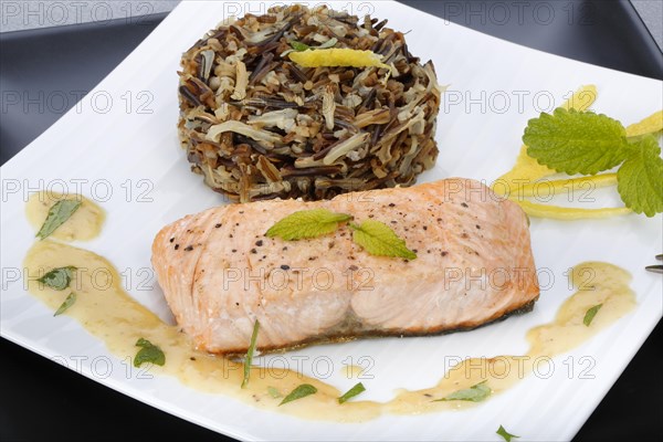 Southern German cuisine, fillet of Dreisam salmon with wild rice and lemon sauce, salmon fillet, healthy eating, decoration, lemon peel, herbs, lemon balm, food plate, appetising, food, studio, fish dish, cooking, Germany, Europe