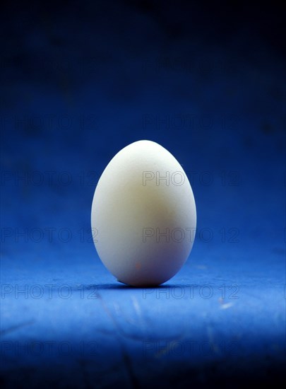 Closeup of one single henÂ´s egg, chicken egg