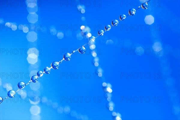 Small blue water droplets hang on fishing line