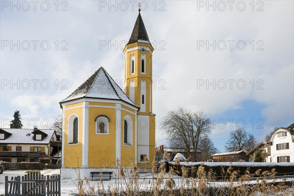 Snow-covered church in winter, St Alban's Church, Diessen, Lake Ammer, Fuenfseenland, Pfaffenwinkel, Upper Bavaria, Bavaria, Germany, Europe