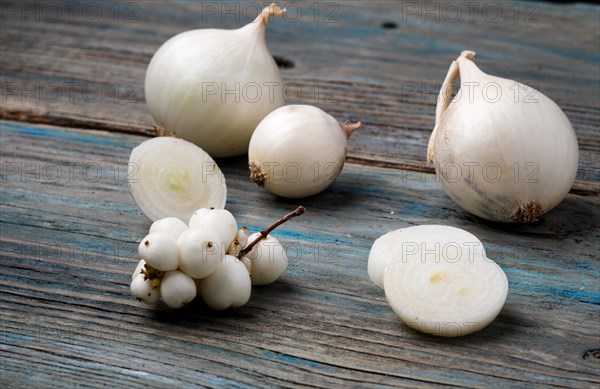 White onion and white berries on a blue rustic wooden background