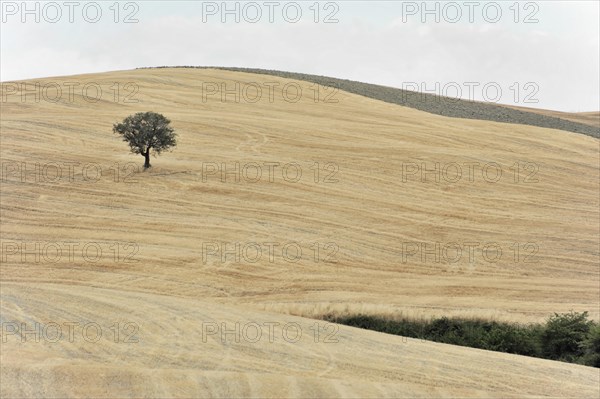 Harvested fields south of Siena, Crete Senesi, Tuscany, Italy, Europe