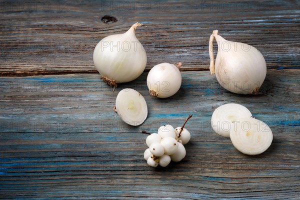 White onion and white berries on a blue rustic wooden background