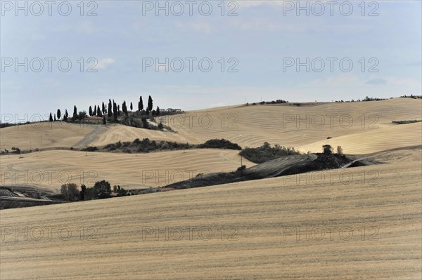 Harvested fields south of Siena, Crete Senesi, Tuscany, Italy, Europe