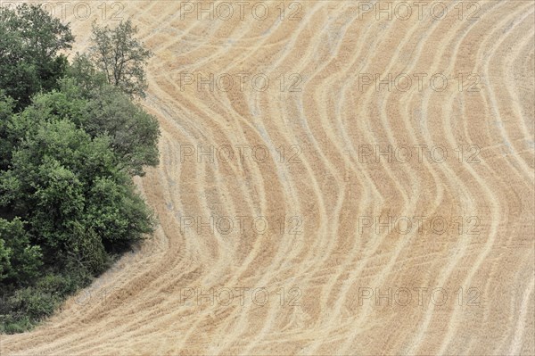 Harvested fields south of Siena, Crete Senesi, Tuscany, Italy, Europe