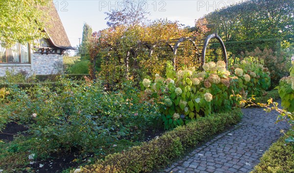 Park with green lawn, trees trimmed bushes and natural stone path in autumn. Modern landscape design