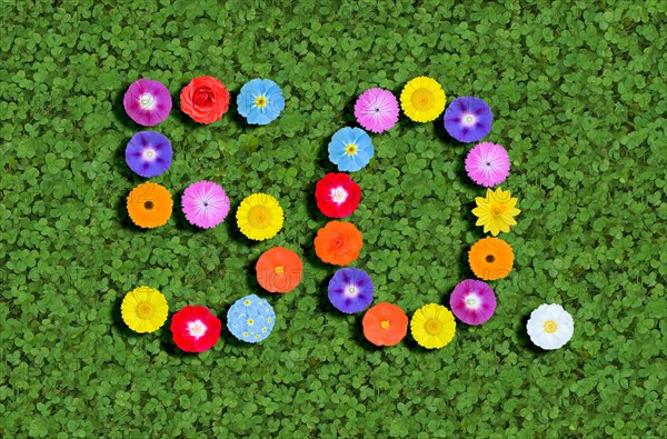 50 50th fiftieth fifty, written with colorful flowers on green clover background