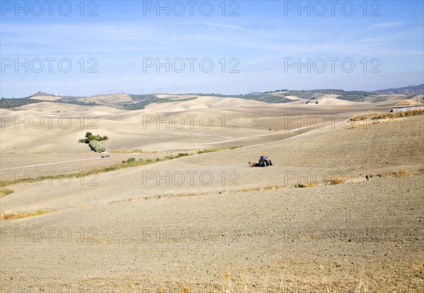 Tractor in fields farming landscape in rural Cadiz province near El Gastor village, Spain, Europe