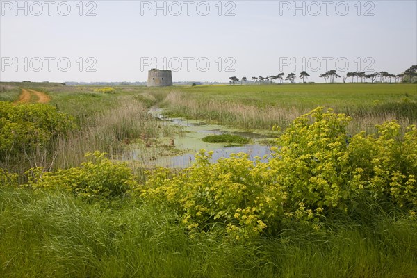 Martello tower stands in field at Alderton, Suffolk, England, United Kingdom, Europe