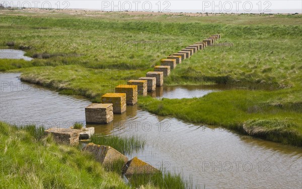 Concrete block tank traps from the second world war cross coastal marshes at Alderton, Suffolk, England, United Kingdom, Europe