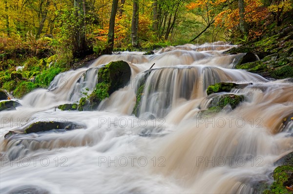 Waterfall near Alexisbad on the Selke river in nature reserve Obere Selketal in autumn, Harz district, Saxony-Anhalt, Sachsen-Anhalt, Germany, Europe