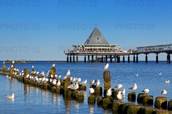 Heringsdorf Pier, Seebruecke Heringsdorf stretching out into the Baltic Sea on the island of Usedom, Mecklenburg-Vorpommern, Germany, Europe