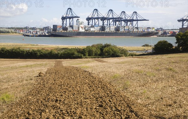 Cranes and container ships at Trimley Docks part of the Port of Felixstowe, Britain's busiest container port, from Shotley, Suffolk, England, United Kingdom, Europe