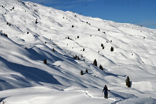 Snowshoe hiking in the Beverin nature park Park, Graubuenden, Switzerland, Europe