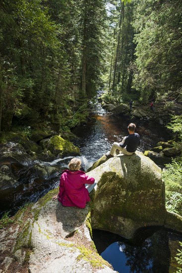 Kroi-Woog-Gumpen, with moss, rocks and forest, Hotzenwald, Black Forest, Baden-Wuerttemberg, Germany, Europe