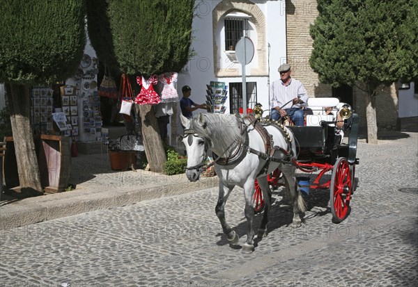 Tourist horse and carriage ride around the old city of Ronda, Spain, Europe