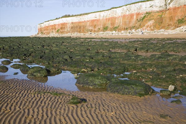 Chalk, red chalk and carstone form striped cliffs of white, red and orange at Hunstanton, Norfolk, England, United Kingdom, Europe