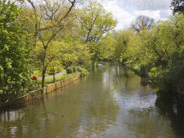 Little Ouse river at Brandon, Suffolk, England, United Kingdom, Europe