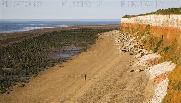 Chalk, red chalk and carstone form striped cliffs of white, red and orange at Hunstanton, Norfolk, England, United Kingdom, Europe