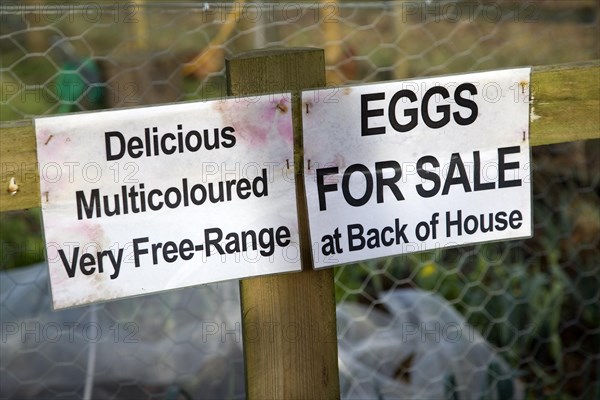 Free range eggs for sale sign on garden fence