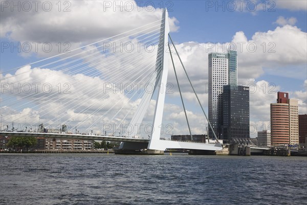 Erasmusbrug, Erasmus Bridge, spanning the River Maas, Rotterdam, Nethrlands