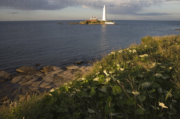 St Mary's lighthouse, Whitley Bay, Northumberland, England, United Kingdom, Europe