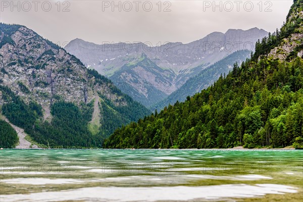 A picturesque mountain lake with green water surrounded by wooded mountains under a cloudy sky, Plansee, Heiterwang, Tyrol, Austria, Europe