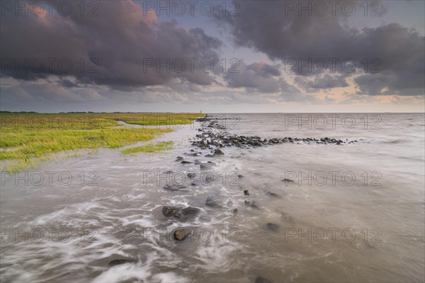 Landscape photography along the North Sea coast at high tide, Querfotmat, evening light, landscape photography, Lower Saxony Wadden Sea, Dorum, Cuxhaven, Lower Saxony, Germany, Europe