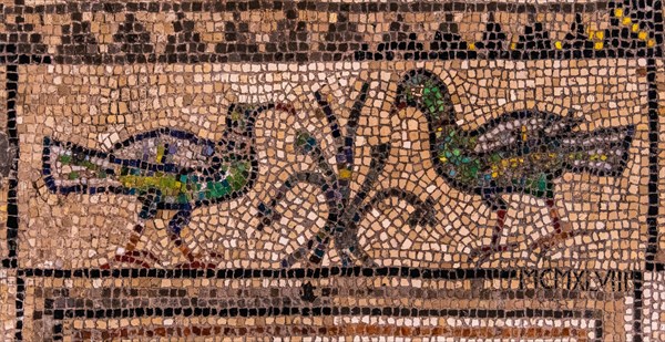 Floor mosaic of the Basilica di Santa Eufemia, Citta vecchia, island of Grado, north coast of the Adriatic, Friuli, Italy, Grado, Friuli, Italy, Europe