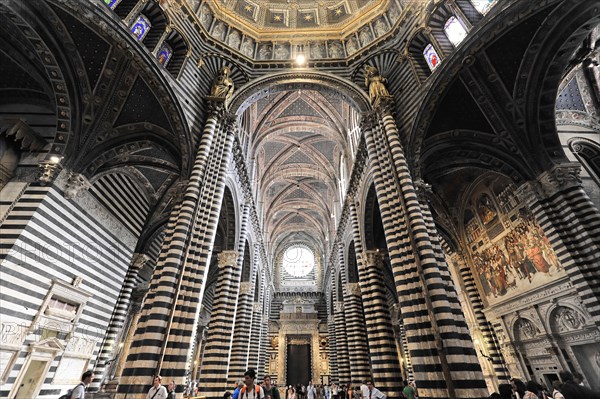 The nave of the cathedral with its black and white striped marble columns, cross and round arches, Siena, Tuscany, Italy, Europe