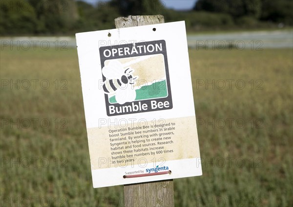 Operation Bumble Bee sign on by field, Suffolk, England a scheme to promote insect habitat in arable farming areas, Hollesley, Suffolk, England