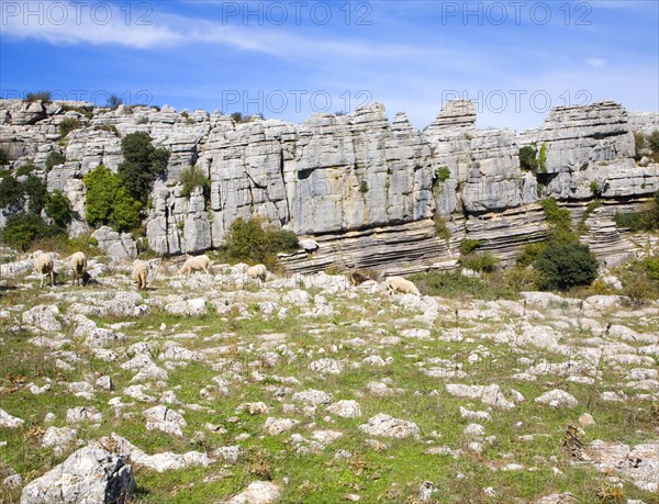 Dramatic limestone scenery of rocks shaped by erosion and weathering at El Torcal de Antequera national park, Andalusia, Spain, Europe