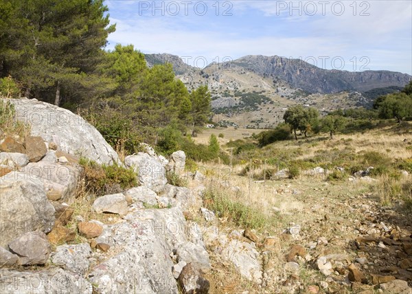 Landscape in Sierra de Grazalema natural park, Cadiz province, Spain, Europe