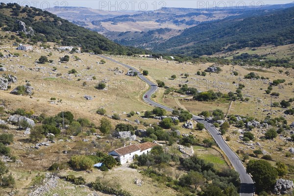 Road running through landscape in Sierra de Grazalema natural park, Cadiz province, Spain, Europe