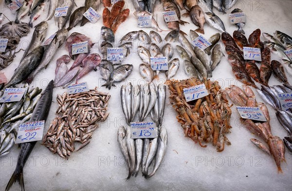 Display of fresh fish and seafood on ice, fishmonger, food, Kapani Market, Vlali, Thessaloniki, Macedonia, Greece, Europe