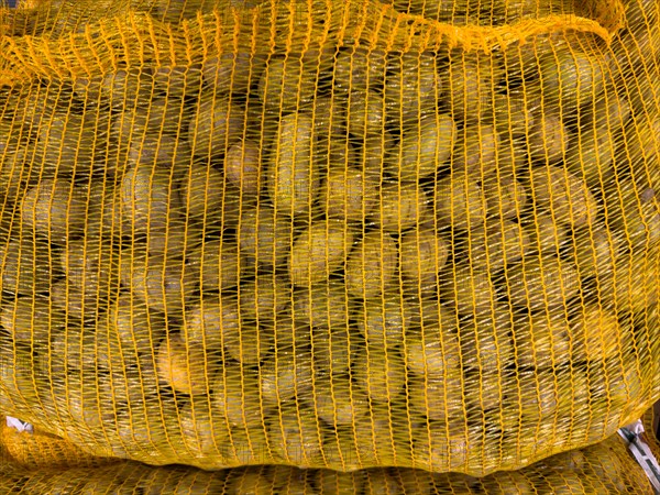 Display of variety of small table potatoes in nylon bag made of plastic Plastic packaging for food in grocery shop grocery store food retailer supermarket, Germany, Europe