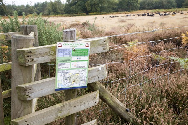 Sign for Open Access land managed conservation grazing by Hebridean sheep, Sutton Heath, Suffolk, England, United Kingdom, Europe