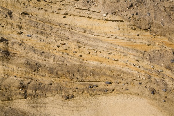 Pleistocene ice age outwash deposits in sedimentary Red Crag rock strata of cliff face, Suffolk coast, Benacre, England, United Kingdom, Europe