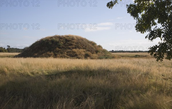 Burial mound at the Anglo Saxon archaeological site of Sutton Hoo, Suffolk, England, United Kingdom, Europe