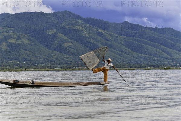 Intha fisherman, local man fishing with traditional conical fishing net, Inle Lake, Burma, Myanmar, Asia