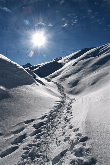 Snowshoe hiking in the Beverin nature park Park, Graubuenden, Switzerland, Europe