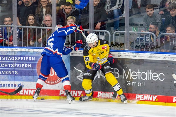 23.02.2024, DEL, German Ice Hockey League, Matchday 48) : Adler Mannheim (yellow jerseys) against Nuremberg Ice Tigers (blue jerseys), 3:2 after overtime