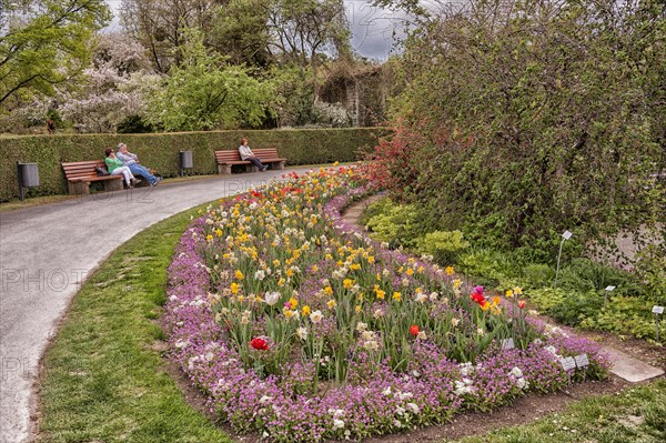 Botanical Garden, Spring flowers, Cosy visitors, Munich, Bavaria, Germany, Europe