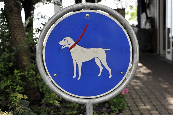 Sign, Dogs on a lead, City park, Montreux, Canton of Vaud, Switzerland, Europe