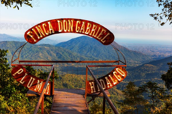 Viewing platform at Finca Don Gabriel, Pluma Hidalgo, Pochutla, Oxaca state, Sierra Madre del Sur, Mexico, Central America