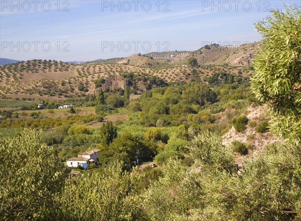 Fertile green valley farmland near Zahara de la Sierra, Cadiz province, Spain, Europe